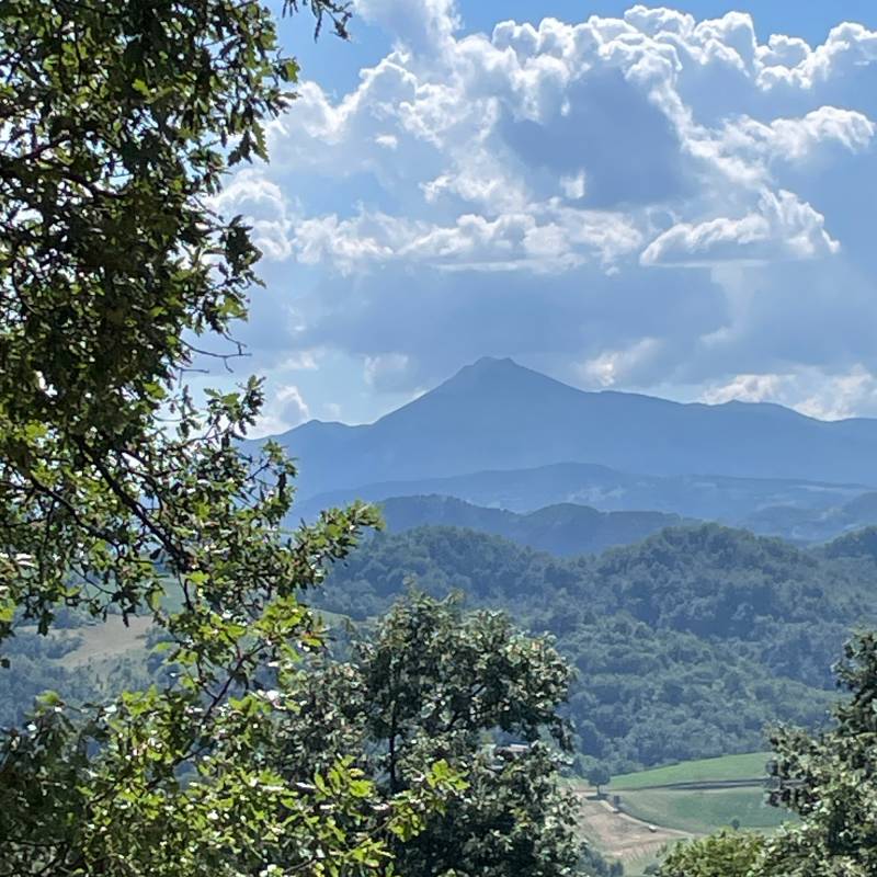 Fotosegnalazione di Castelnovo ne' monti