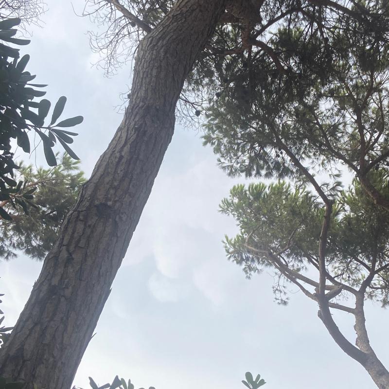Fotosegnalazione di Baia domizia