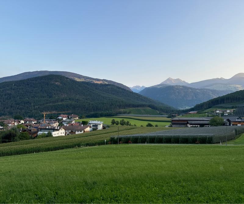 Fotosegnalazione di Naz sciaves