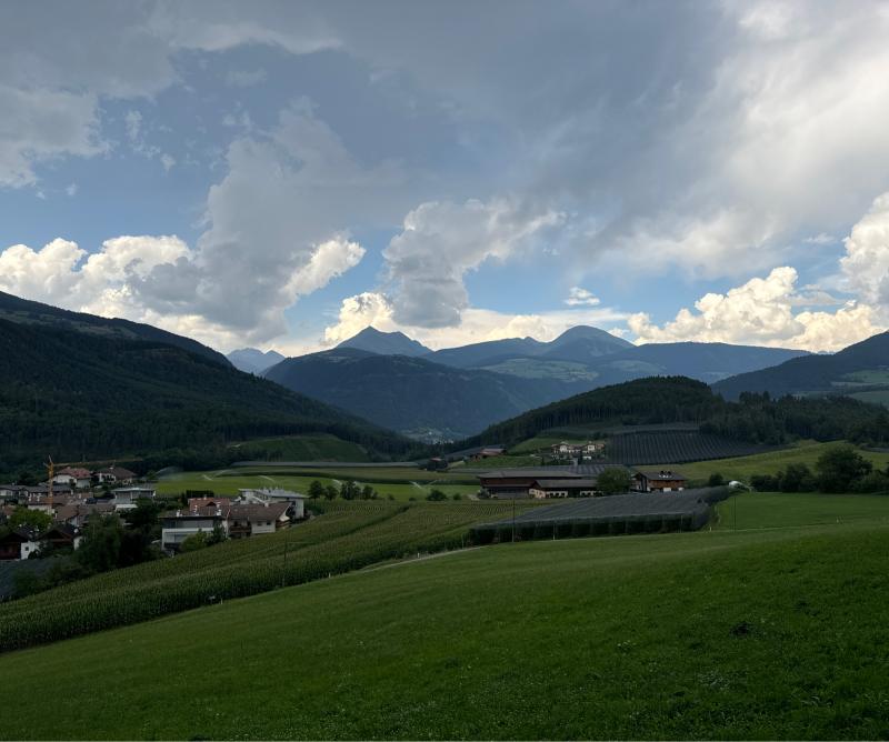 Fotosegnalazione di Naz sciaves