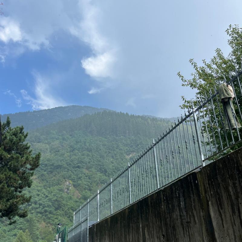 Fotosegnalazione di Commezzadura