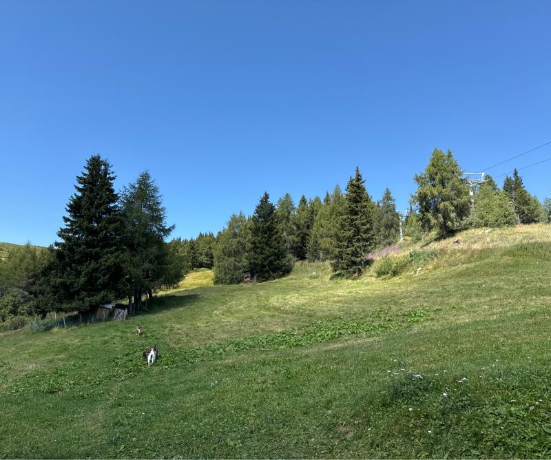 Fotosegnalazione di Rio di pusteria