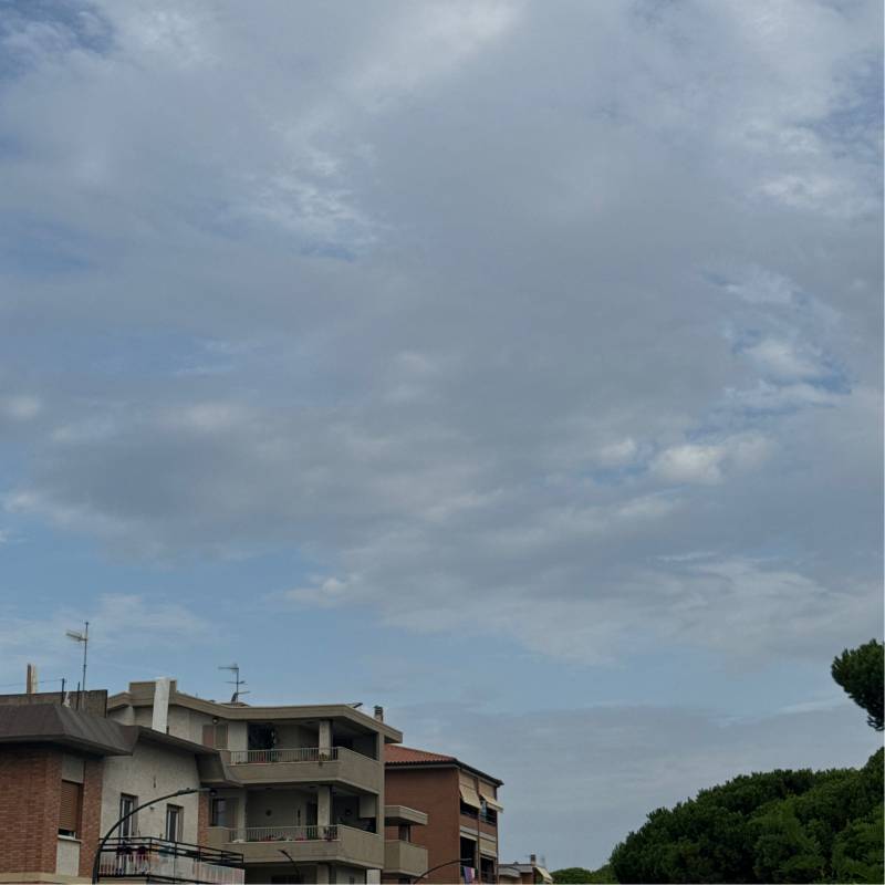 Fotosegnalazione di Marina di grosseto