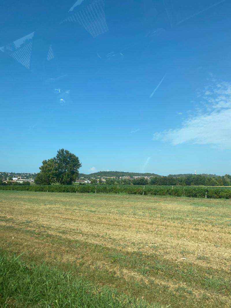 Fotosegnalazione di Castiglione delle stiviere