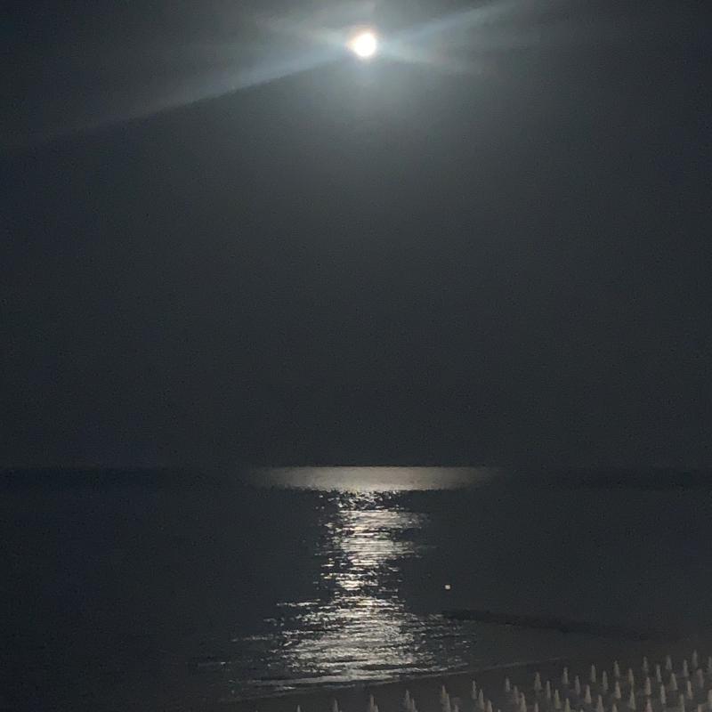 Fotosegnalazione di Jesolo