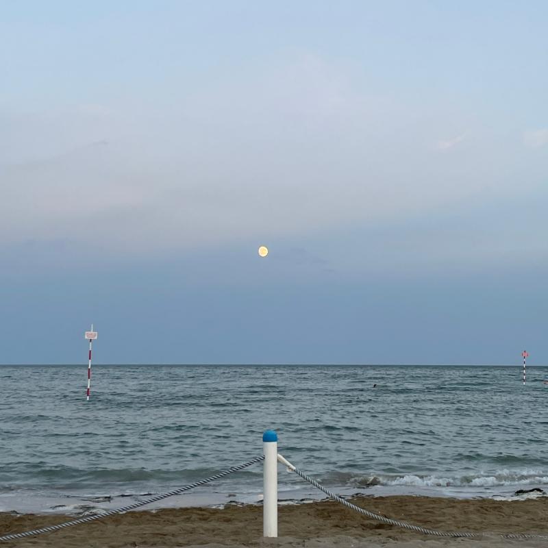 Fotosegnalazione di Lignano pineta