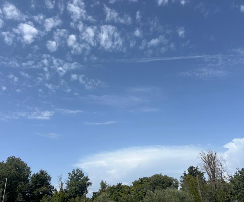 Fotosegnalazione di Guidonia montecelio