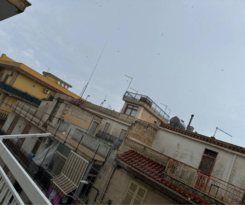 Fotosegnalazione di Villabate