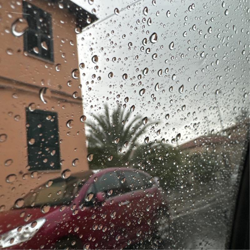 Fotosegnalazione di Ancona posatora - pinocchio
