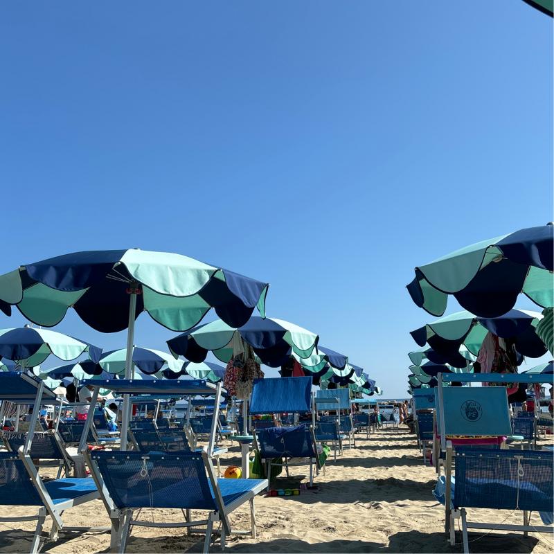 Fotosegnalazione di Bellaria igea marina