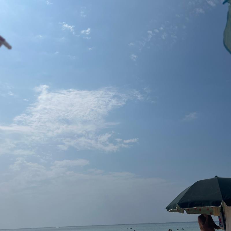Fotosegnalazione di Salve