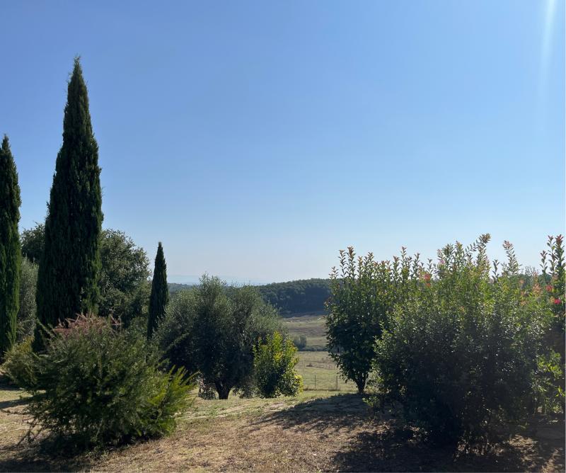 Fotosegnalazione di Trequanda