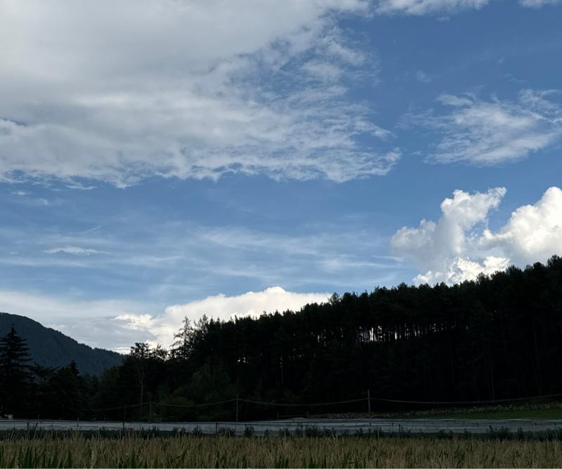 Fotosegnalazione di Naz sciaves