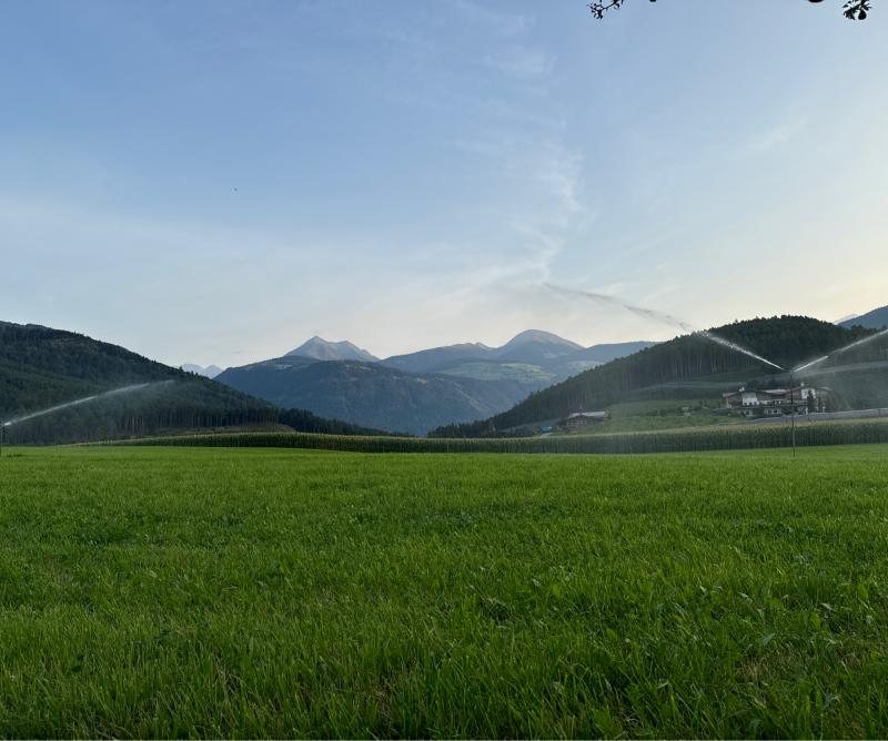 Fotosegnalazione di Naz sciaves