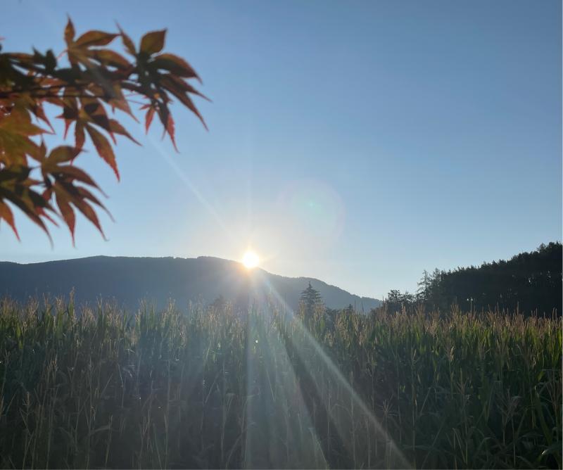 Fotosegnalazione di Naz sciaves