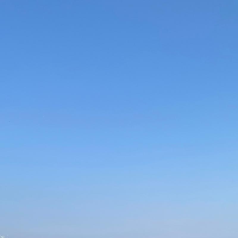 Fotosegnalazione di Roma capannelle