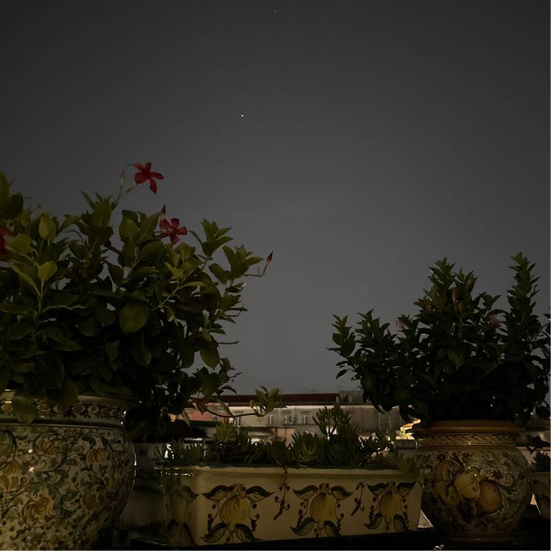Fotosegnalazione di Napoli san lorenzo