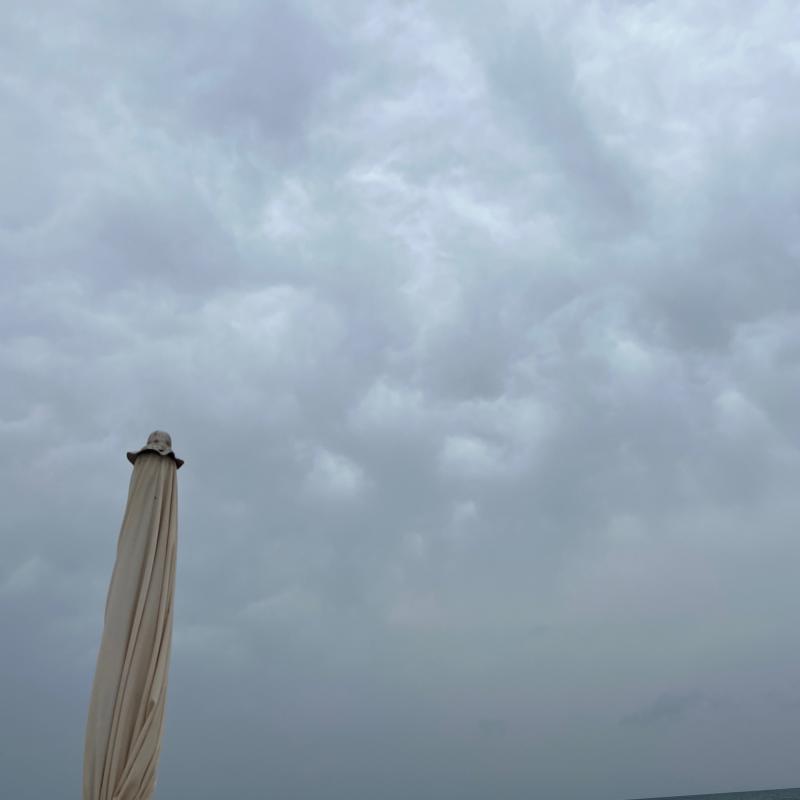 Fotosegnalazione di Rosa marina