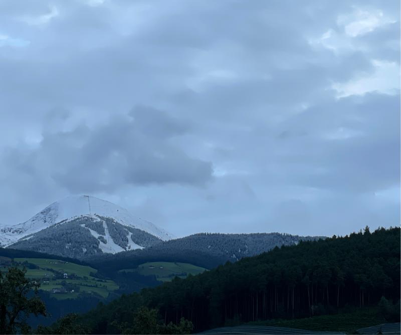 Fotosegnalazione di Naz sciaves