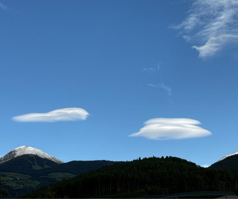 Fotosegnalazione di Naz sciaves