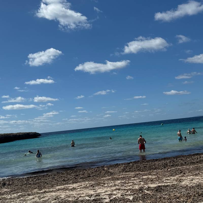 Fotosegnalazione di Son xoriguer