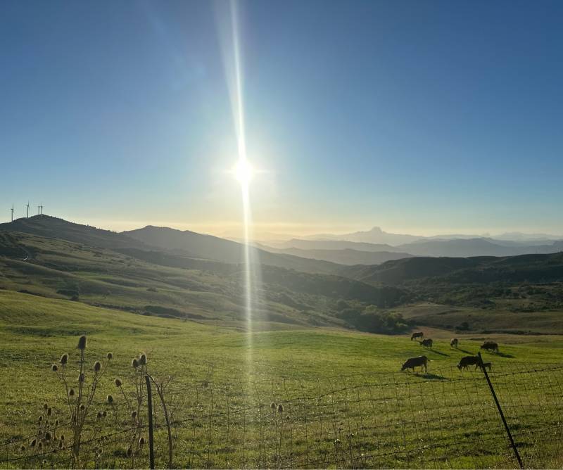 Fotosegnalazione di Montemaggiore belsito