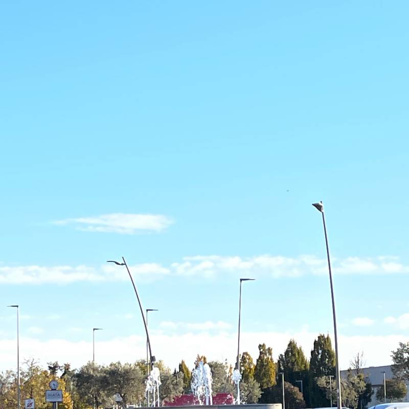 Fotosegnalazione di Peschiera del garda