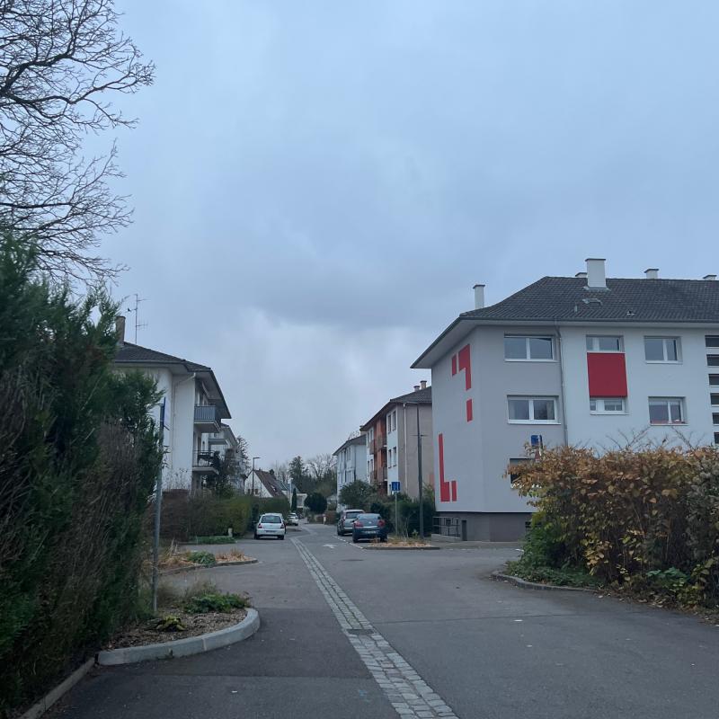 Fotosegnalazione di Strasburgo