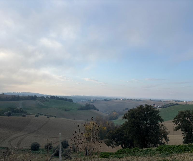 Fotosegnalazione di Fermo sud
