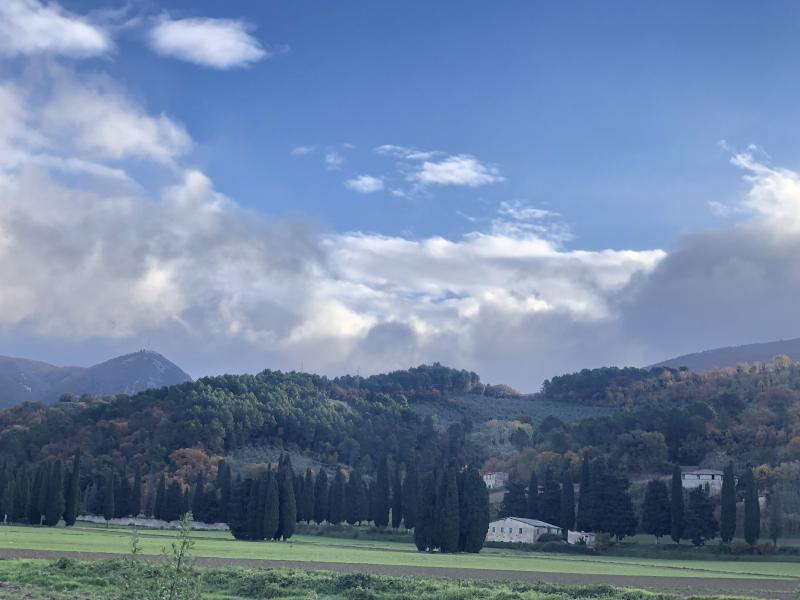 podere morotti vescia di giannionali