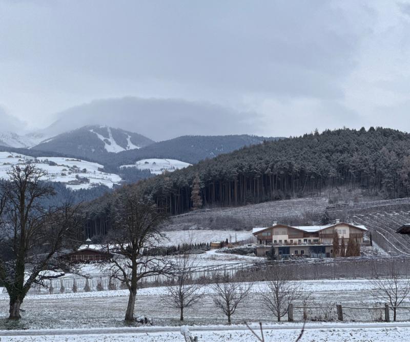 Fotosegnalazione di Naz sciaves