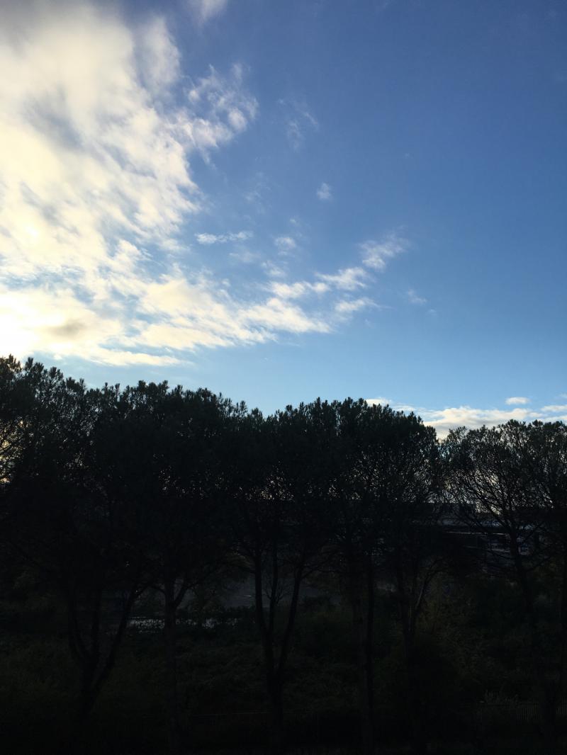 Fotosegnalazione di Roma tor cervara