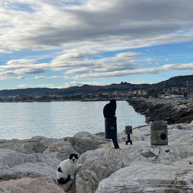 Fotosegnalazione di San benedetto del tronto