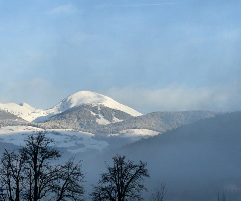 Fotosegnalazione di Naz sciaves
