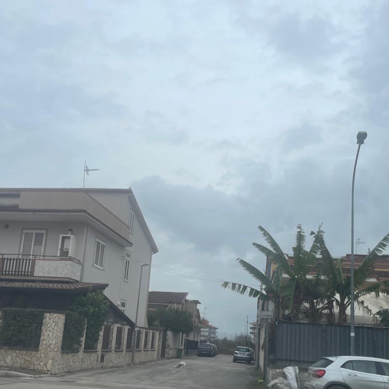 Fotosegnalazione di San tammaro