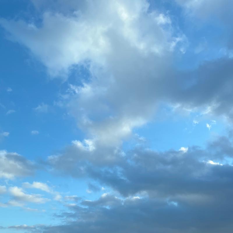Fotosegnalazione di Casoria