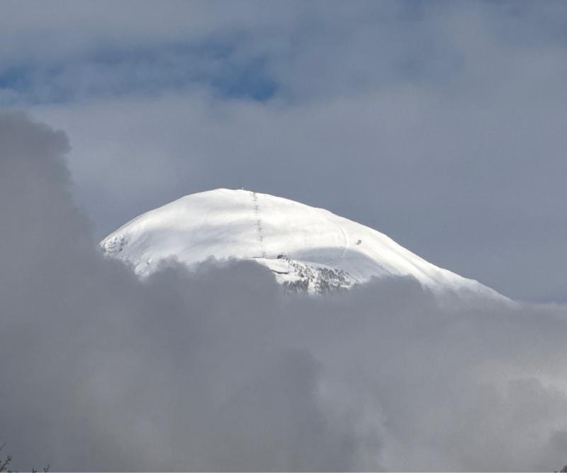 Fotosegnalazione di Naz sciaves