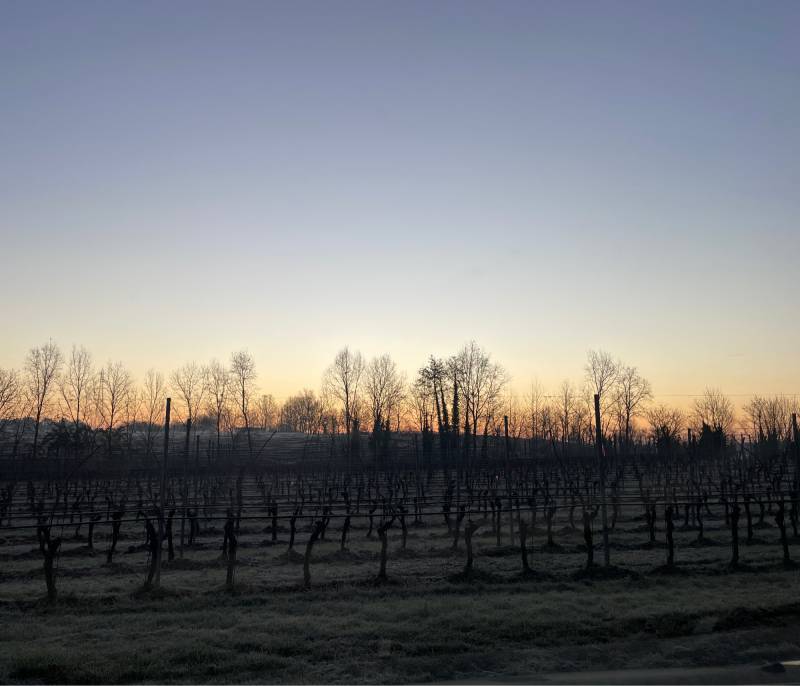 Fotosegnalazione di Pozzolengo