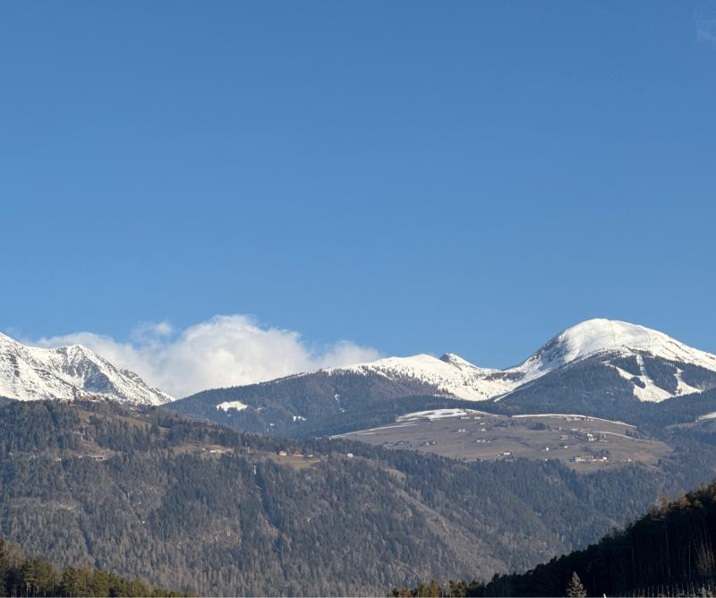 Fotosegnalazione di Naz sciaves