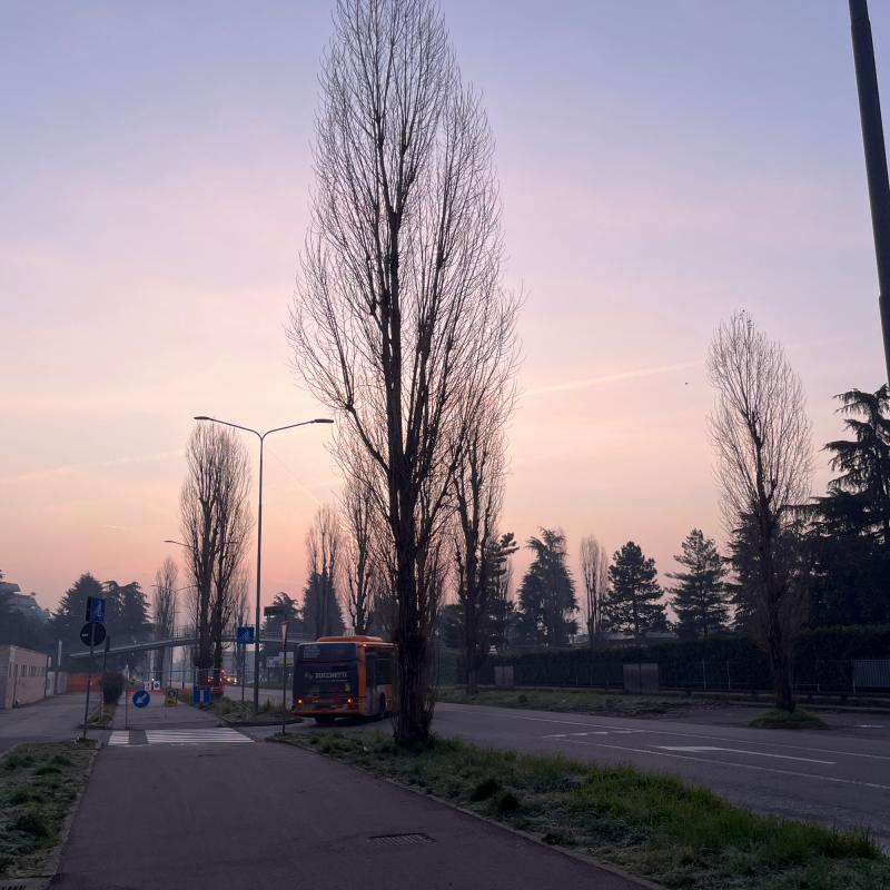 Sereno con lievi velature erba ghiacciata