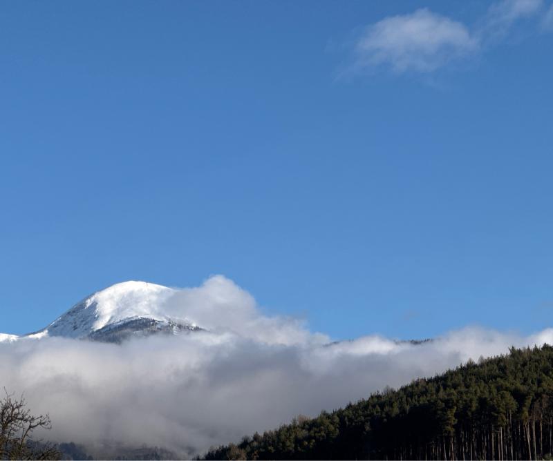 Fotosegnalazione di Naz sciaves