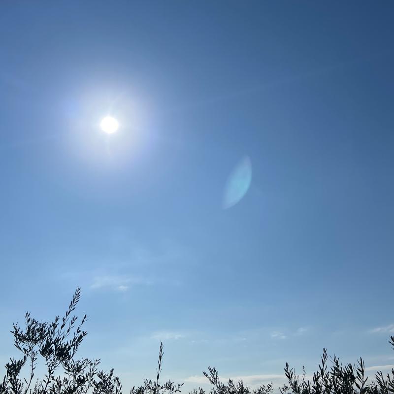 Fotosegnalazione di Torremaggiore