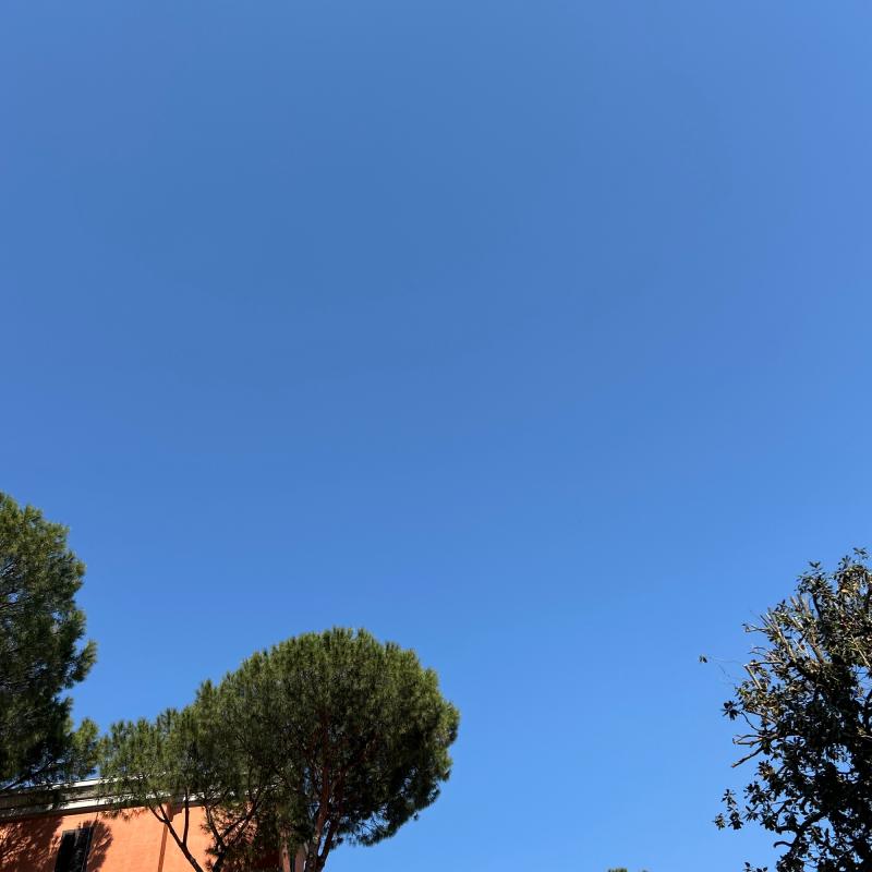 Fotosegnalazione di Roma tuscolano