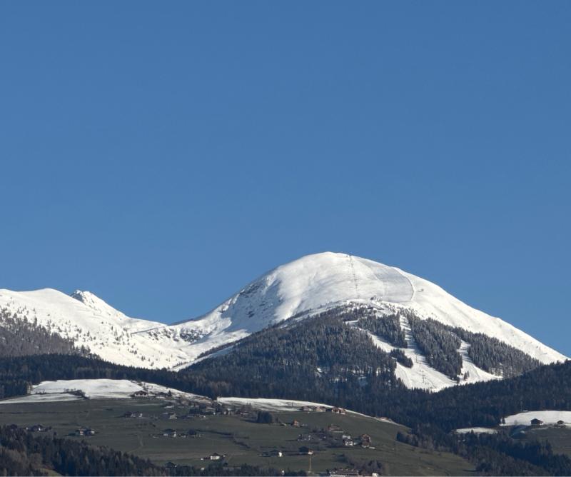 Fotosegnalazione di Naz sciaves