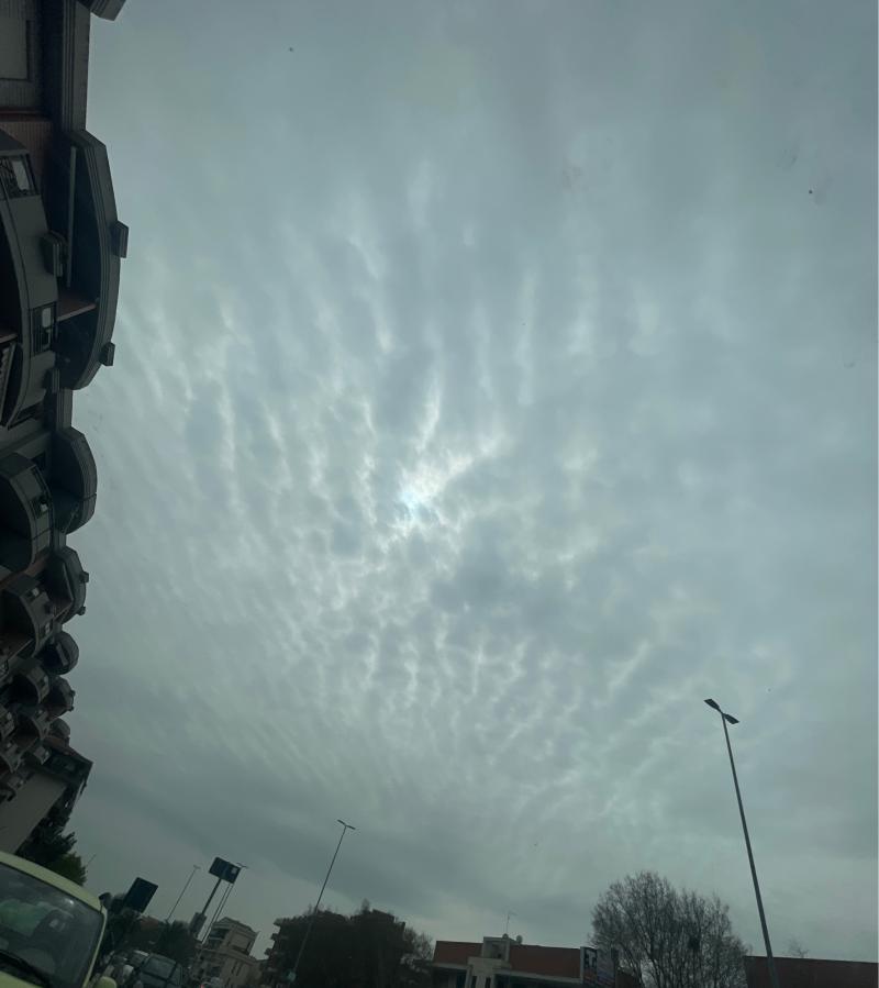 Fotosegnalazione di Foggia centro urbano
