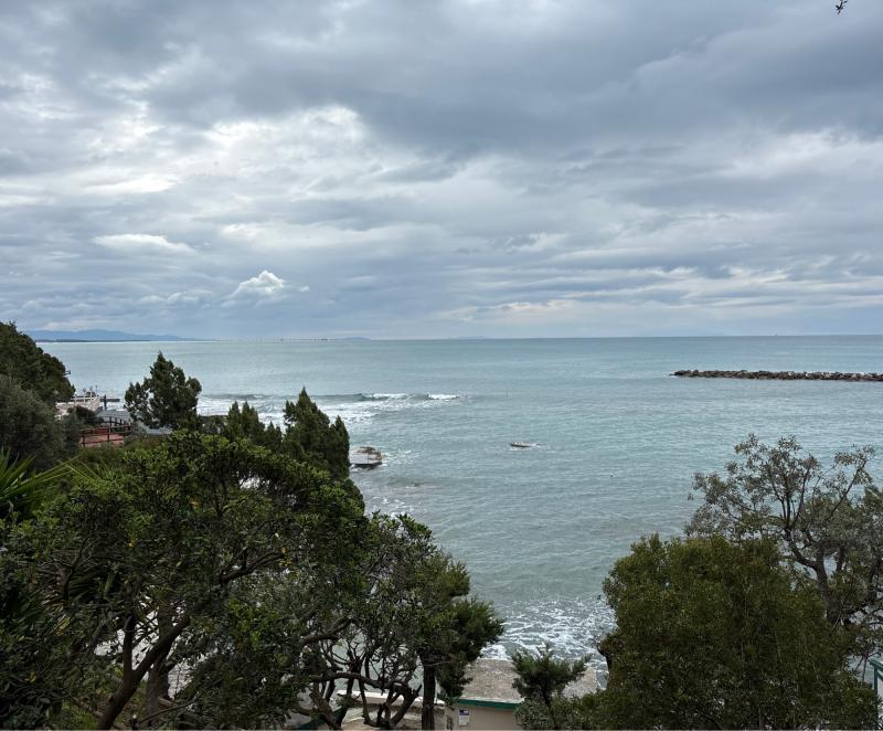Fotosegnalazione di Castiglioncello