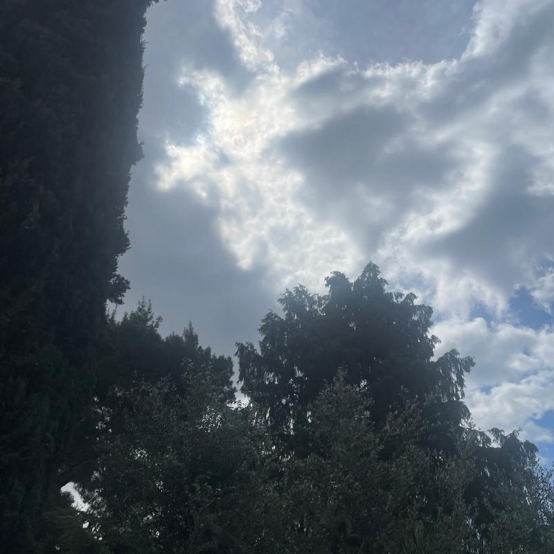 Fotosegnalazione di Carbonara di bari