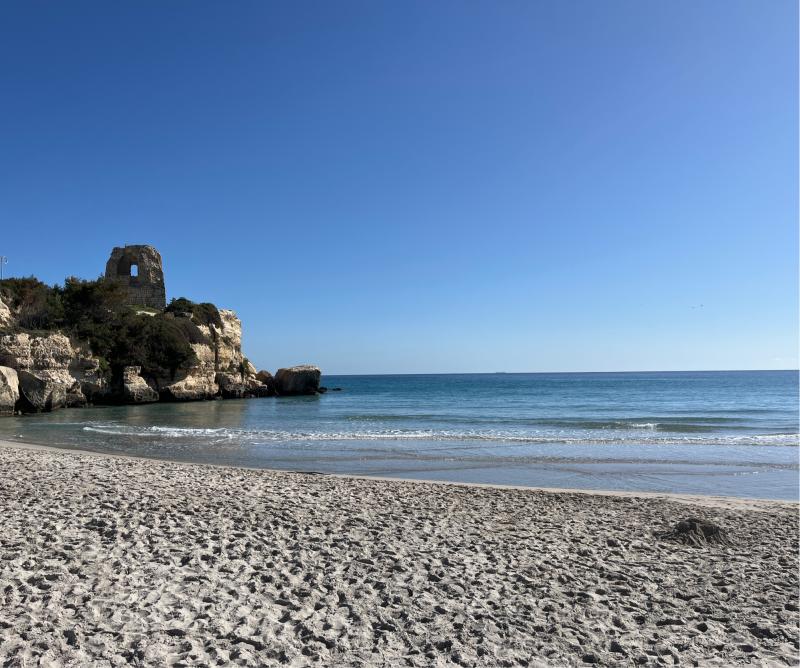 Fotosegnalazione di Torre dell'orso
