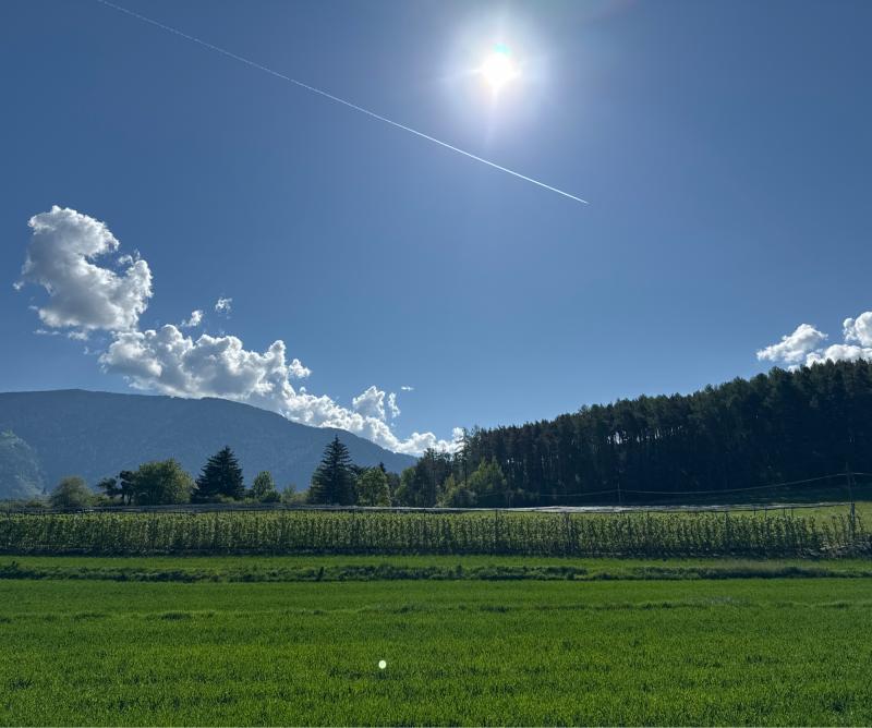 Fotosegnalazione di Naz sciaves