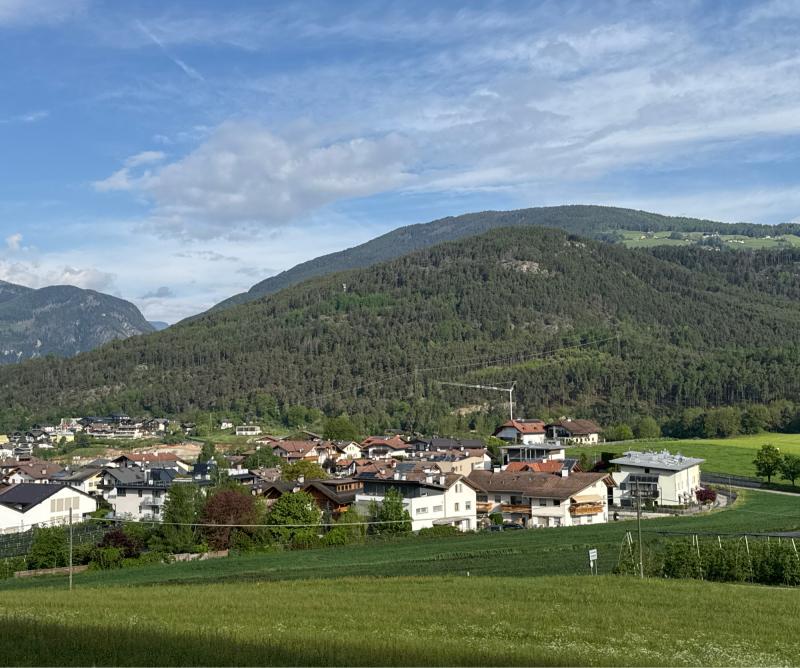 Fotosegnalazione di Naz sciaves